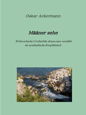 cover image of Määner sehe
